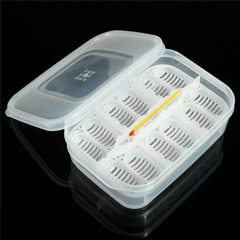 Incubatrice incubatore uova rettili serpente lucertola geco 12 posti termometro - Immagine 3 di 4