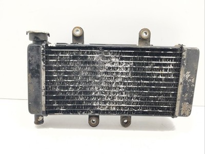   Lexmoto Lxr 125 Sy 125-10 2019-2020 Radiator  