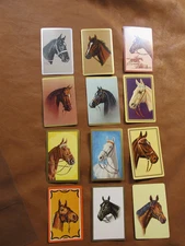 Lot Of 12 Horse Equestrian Swap Playing Cards #2