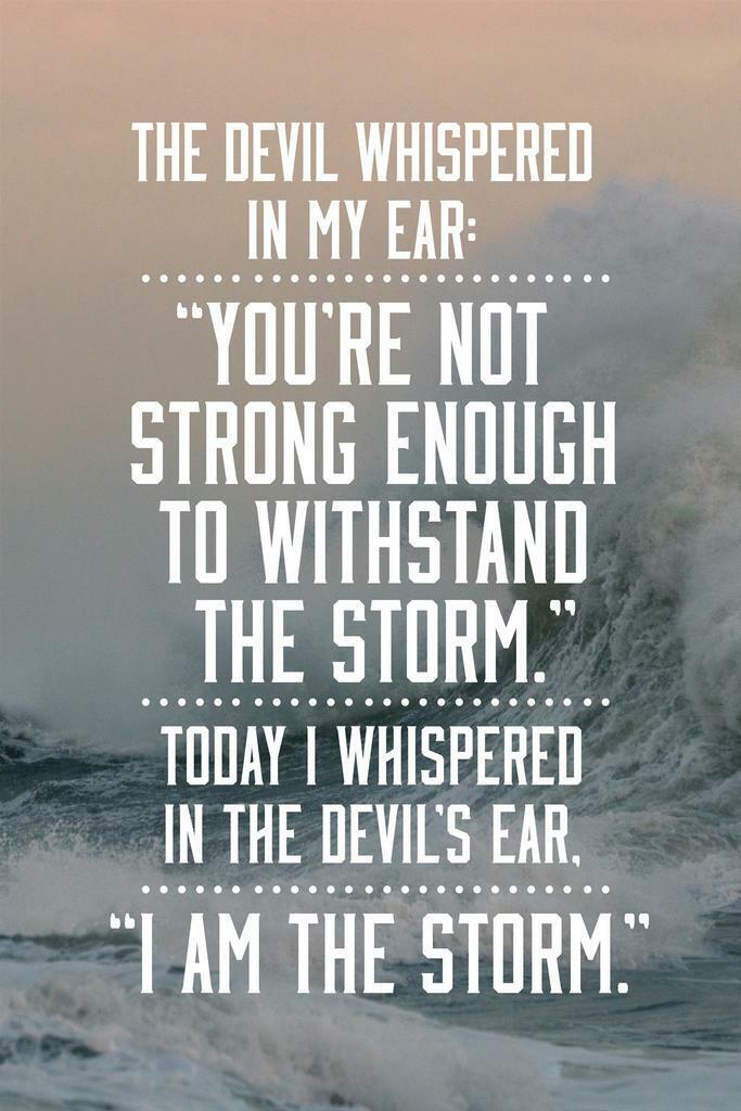 I am the storm!  Funny true quotes, Storm quotes, True quotes