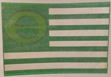 Original Vintage Ecology Flag Iron On Transfer