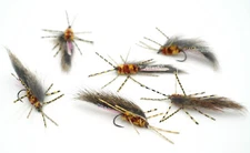 Small Zirdle Bug Flies - Natural color (6 pack of flies) on BARBLESS size 10