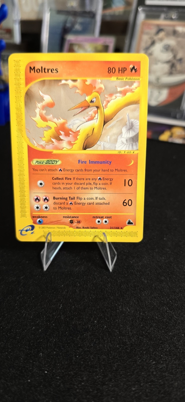 Moltres - 21/144 - Skyridge Pokemon Card - Rare 2003 Nm