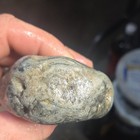 South Dakota Prairie Agate Rough, Cabbing Lapidary 10.8 oz — photo 5