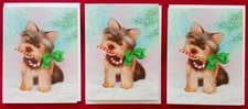 "Puppy Gift & Candy Cane " (5) Leanin Tree Holiday Cards, New With (5) Envelopes