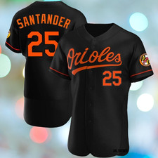 Men's Orioles #25 Anthony Santander Black Flex Base Jersey Stitched