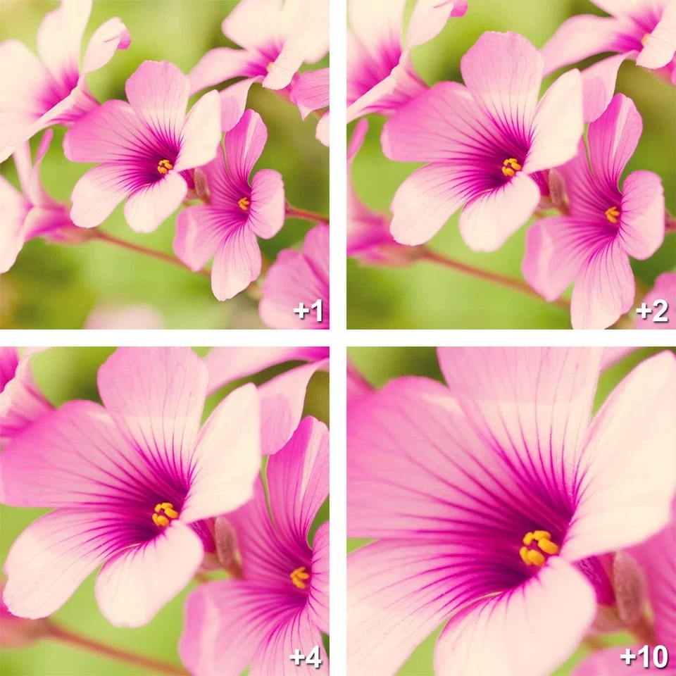 Zeikos 4-Piece 52mm Close-Up Macro Filter Set + Case ZE-CU452 +1 +2 +4 +10 NIB - Image 2 of 3