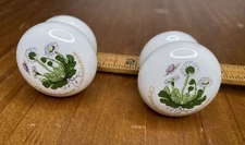 Chrysanthemums 2 Portmeirion Ceramic Drawer Pull Botanic Garden Flower Knobs