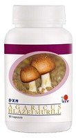 Dxn Agaricus Blazei Murill 90 NahrungsergäNzungen, 90 Kapseln