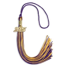 Endea Graduation Purple/Gold Mixed Color Tassel With Gold Date Drop