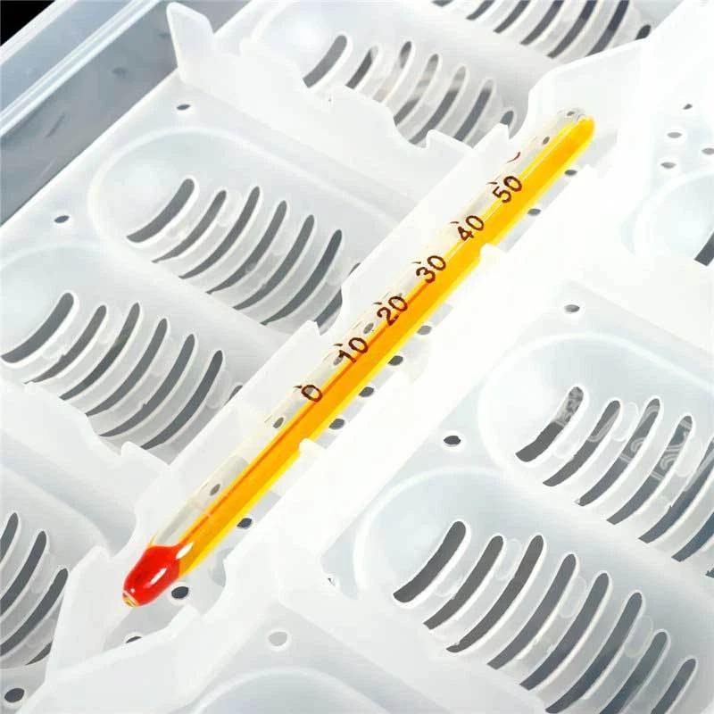 Incubatrice incubatore uova rettili serpente lucertola geco 12 posti termometro - Immagine 4 di 4