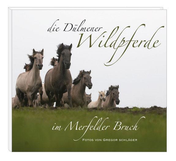 Die Dülmener Wildpferde In Merfelder Bruch, Jörg Gierse