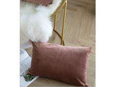 JUSPURBET Jam Decorative Lumbar Velvet Throw Pillow Covers 16x24,Pack of 2 NEW