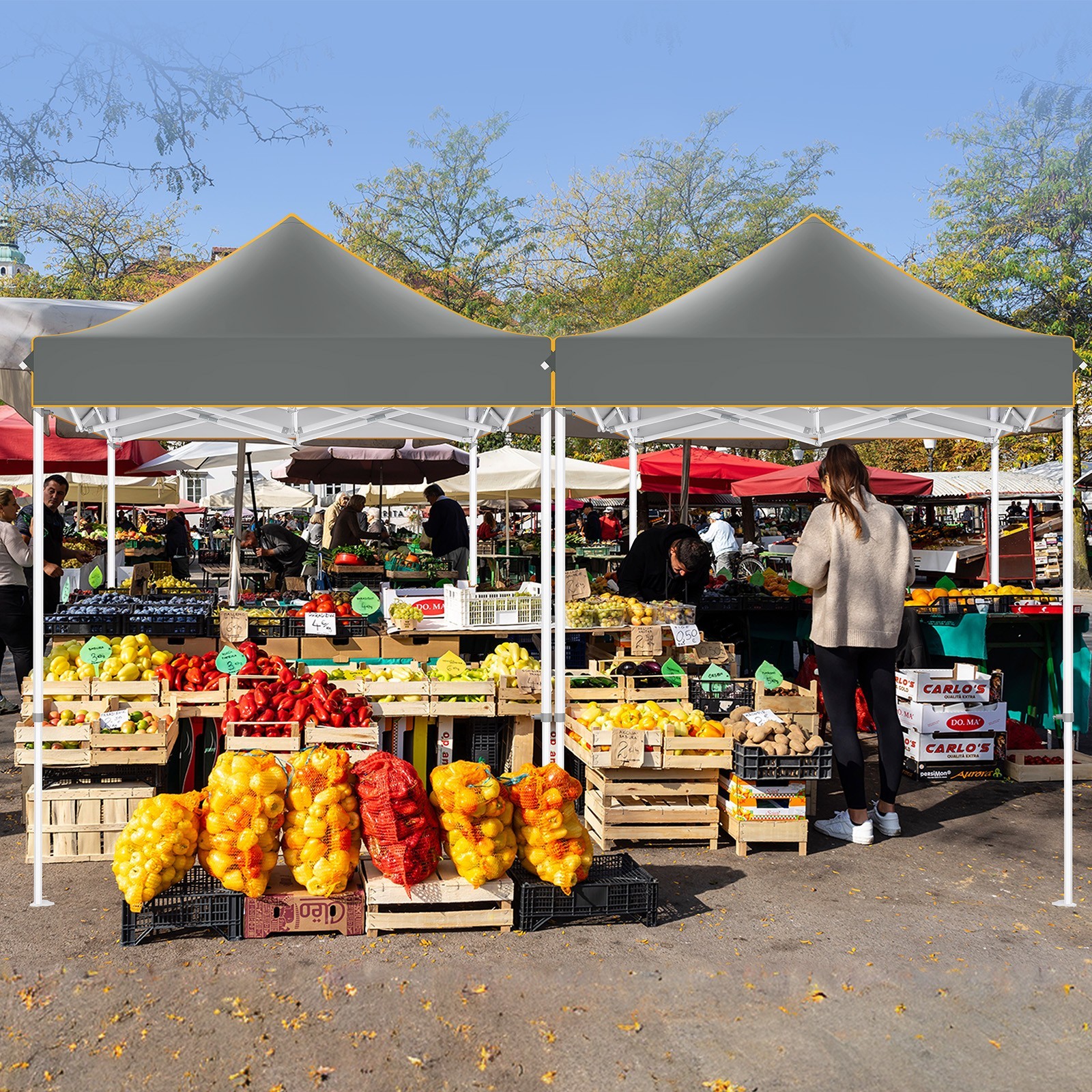 6.5'x6.5' Pop up Canopy Heavy Duty Waterproof UV 50+ Event Tent with 4 Sidewalls