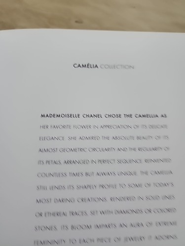 Chanel Jewelry Catalog Books - Picture 8 of 10
