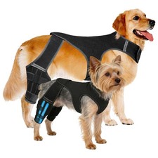 Dog Knee Brace For Torn Acl Leg For Support With Cruciate Ligament Injury Adjust