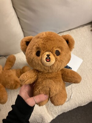 AUTHENTIC/NEW] NCT 127 DREAM HAECHAN (10cm 20cm) PLUSH DOLL GOMDO