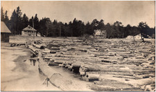 Log Boom at Lumber Yard in Northern United States 1900s RPPC Postcard Photo