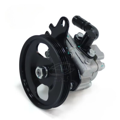 Auto Power Steering Pump for NISSAN B10 QG16 49110-95F0A Car Parts