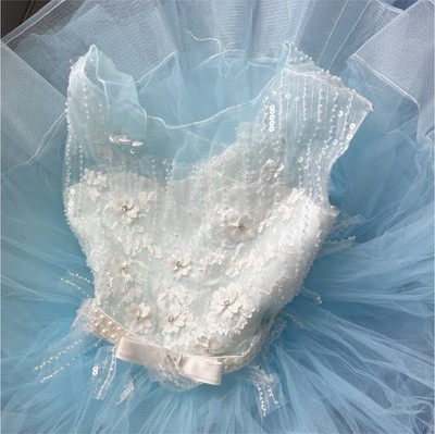 Girls Blue White Sleeveless Tulle Tutu Dance Dress with Floral Appliqué Bow