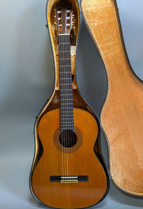 Zen on Guitar | eBay