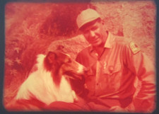   Lassie Meets A Challenge   1965 Super 8mm Film Sound, Robert Bray, Lassie, 8  R