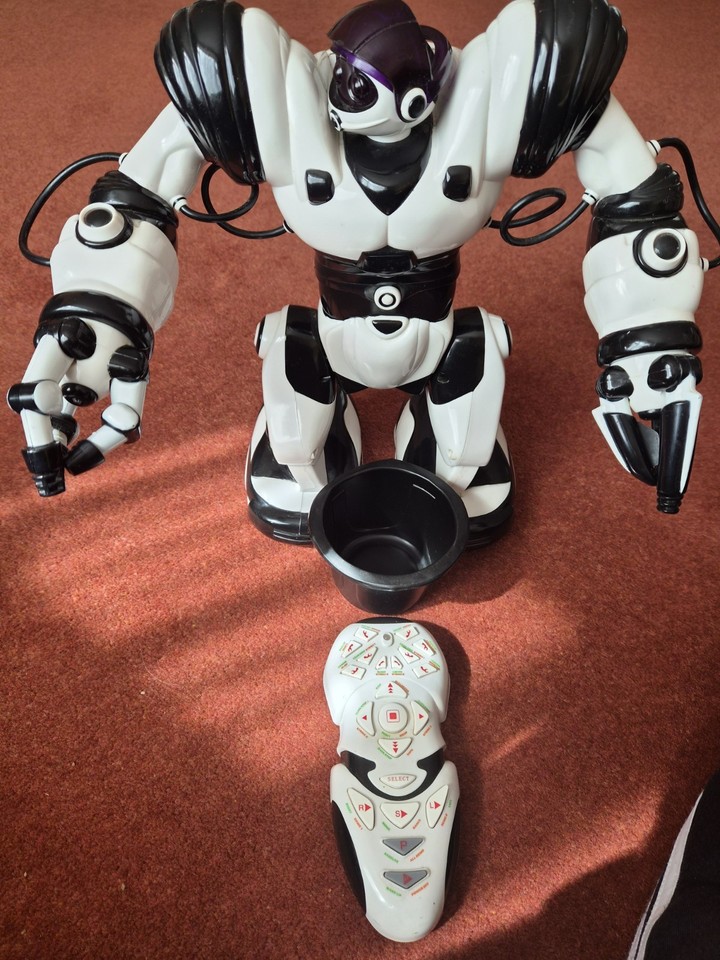 Wowyee WowWee Robosapien Is A Remote Controlled Biomorphic Robot | eBay UK