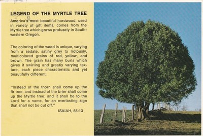 LEGEND OF THE MYRTLE TREE, SOUTHWESTERN OREGON ~ GEBRAUCHT ~ VERSCHICKT ~ POST DATIERT 1983