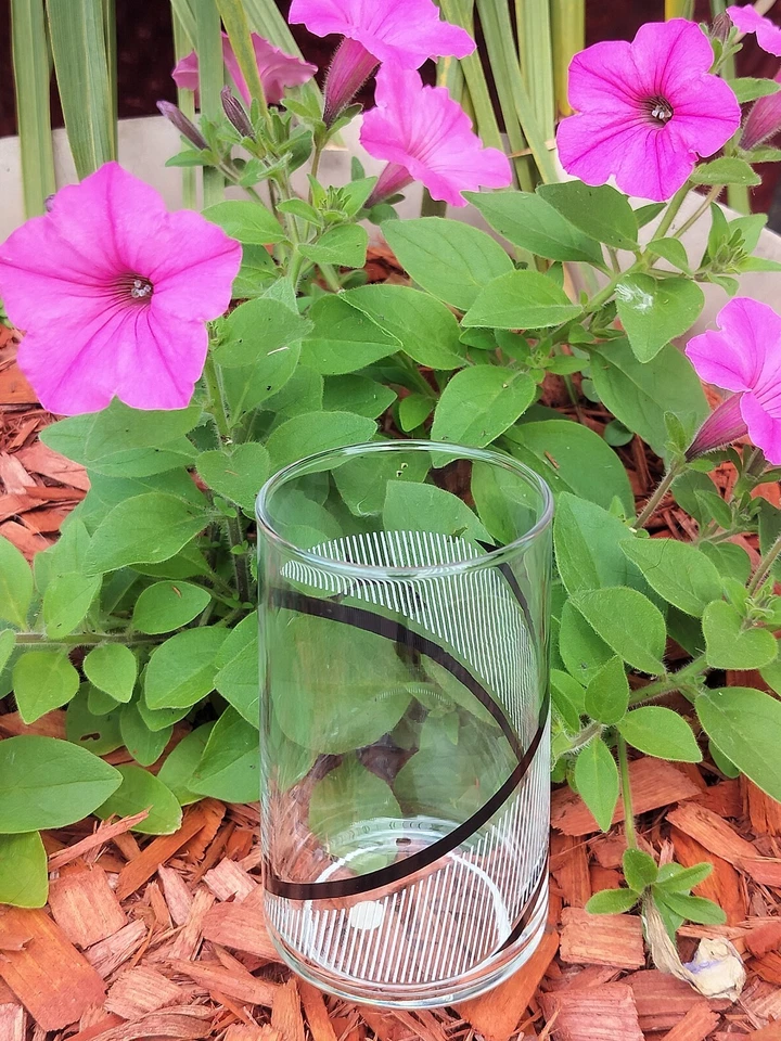 4 gafas retro vintage George Briard Crisa negras/blancas/rayas Foto 2 de 4