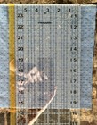 Picture 4 of 6