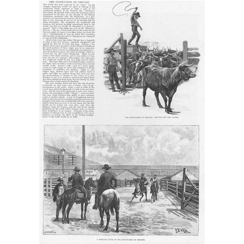 CHICAGO Scenes at the Stockyards - Antique Print 1896