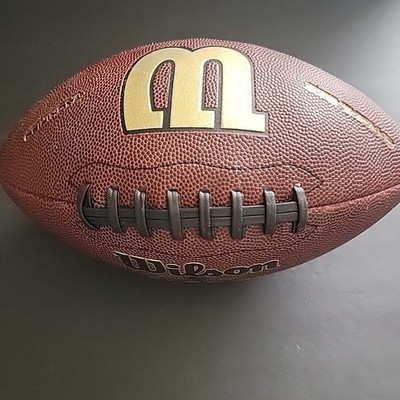 NCAA Wilson Silver Series Official SizeRecreational Composite