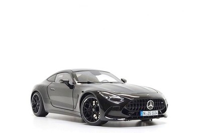 NZG 1:18 Mercedes-Benz AMG GT63 4Matic+ in Black | eBay