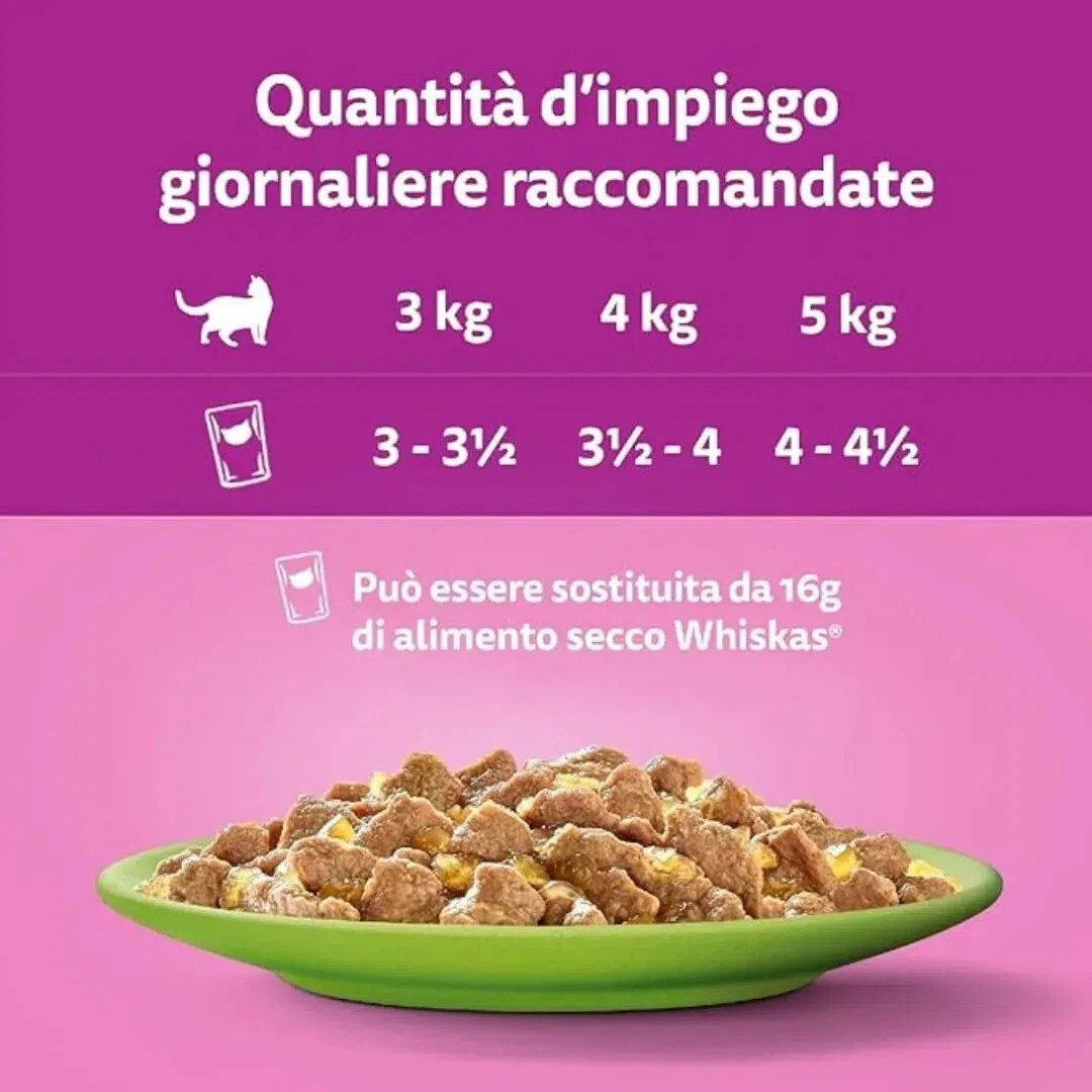 Foto 4 di 5