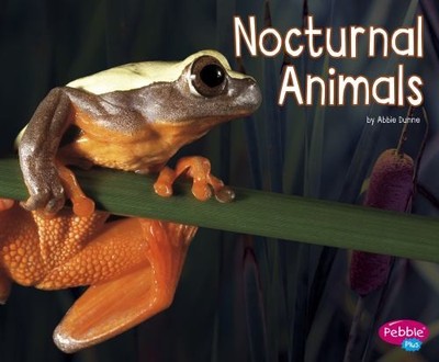 Nocturnal Animals Library Binding Abbie Dunne