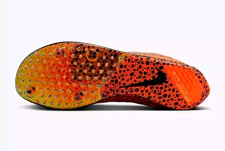 ヤドリギno.100 $_12.JPG?set_id=880000500F