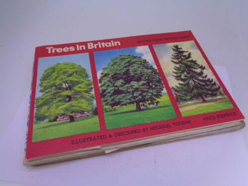 3x Brooke Bond albums British Costume, Trees in Britain, History of aviation - Foto 1 di 7
