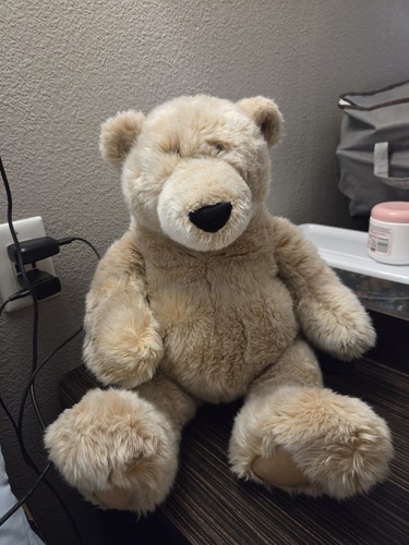 Gund Bear Retired 1007272 Collectable