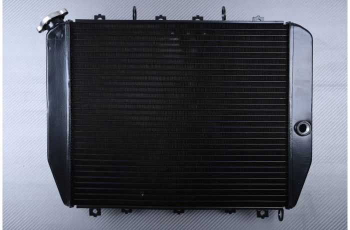 Radiateur eau noir pour moto Kawasaki ZX12R ZXT20A 2002-2006