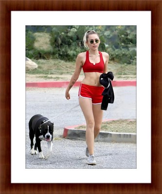 Miley Cyrus 8.5 x 11 Candid Color Unframed Collectable Photograph