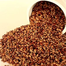 Horse Gram food Kulthi Legume Lentil Brown Dal-100% Organic-pure & natural