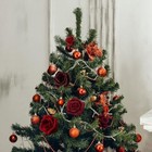 Bild 8 von 8