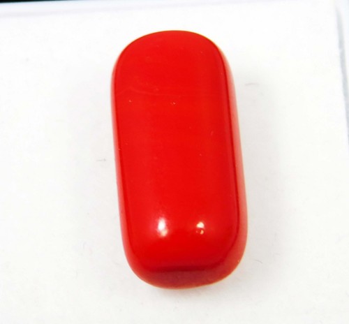 7.70 Cts Natural Italine Red Coral Cabochon Oval Cut 173.x7.7 Mm Loose Gemstone - Picture 3 of 6