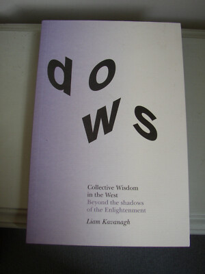 NEW Shadows Collective Wisdom in the West Beyond Enlightenment Liam Kavanagh PB