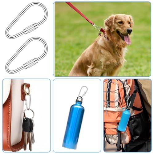 20 Pcs Heavy Duty Stainless Steel Quick Link, Metal Mini Locking Carabiner 