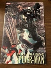 THE AMAZING SPIDER-MAN #19 BERMEJO VARIANT PUNISHER 1