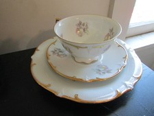 Vintage Bavaria Schumann Arzberg Wild Rose Dessert Plate, Teacup & Saucer Set