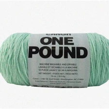 EcoBlend Verdant Twist - 16oz Medium Gauge Yarn for Crochet & Knitting - 100% Ac
