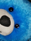 Bild 9 von 12