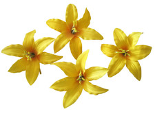 3.5" Yellow Lily 4 pc Silk Flower Hair Clip Lot,Pin Up,Updo,Rockabilly,Hat